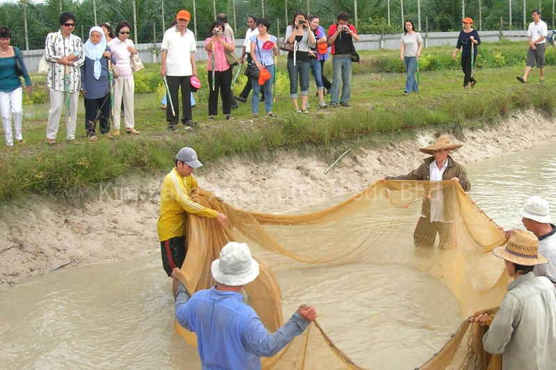 farm-gallery-bindu-16